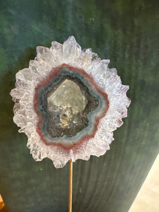3/7 Flower Stalactite