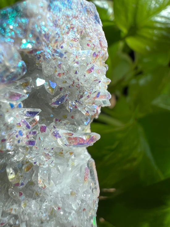 Angel Aura Cluster Plant Crystal