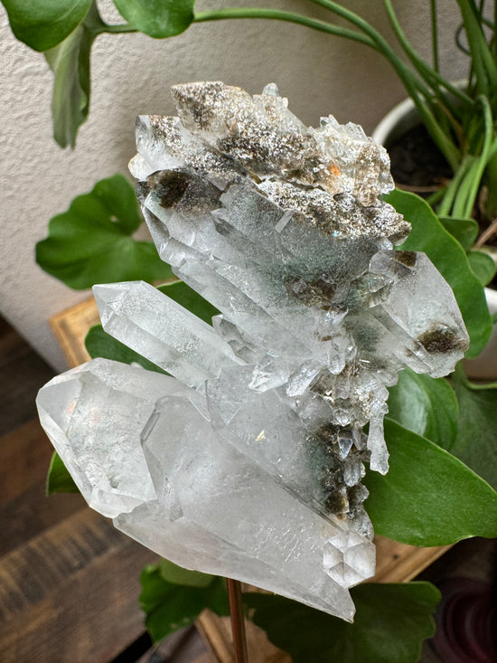 8/4 Garden Quartz