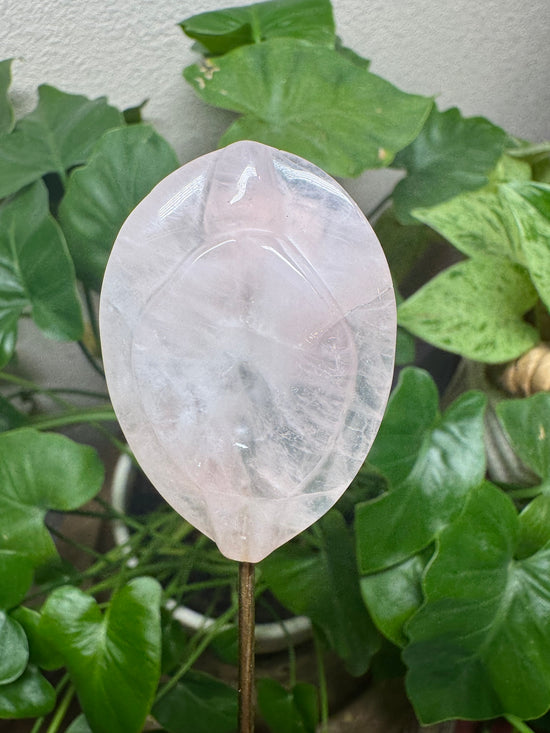 5/23 Rose Quartz Yoni