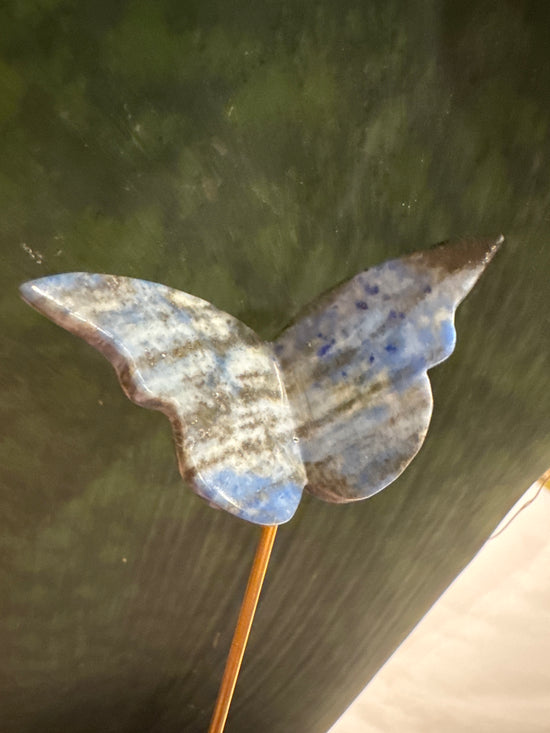 3/9 Butterfly
