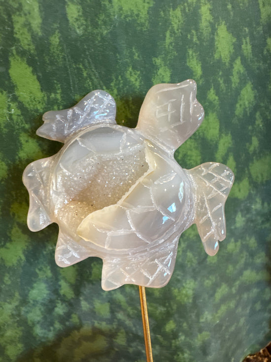 Agate Turtle