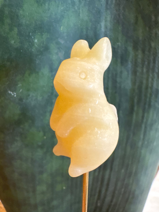 3/7 Bunny
