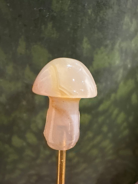 3/2 Mini Mushy