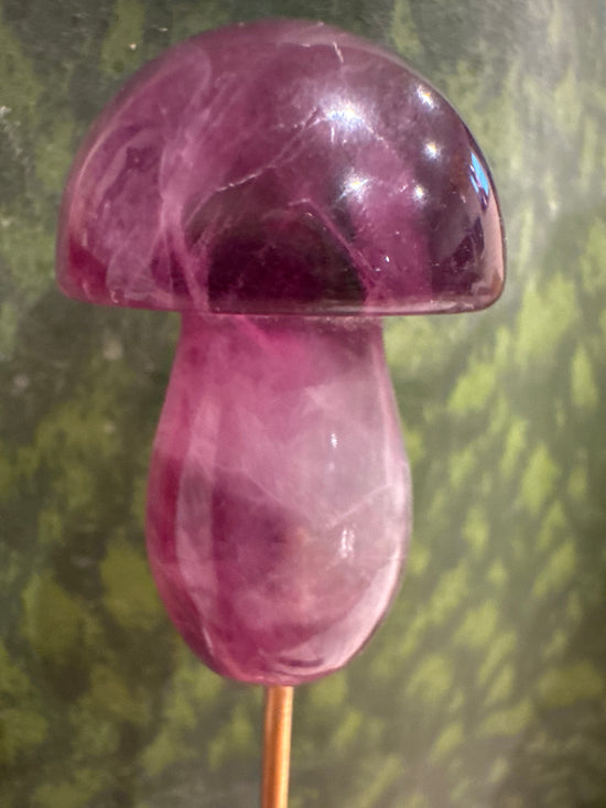 4/20 Fluorite Mushroom