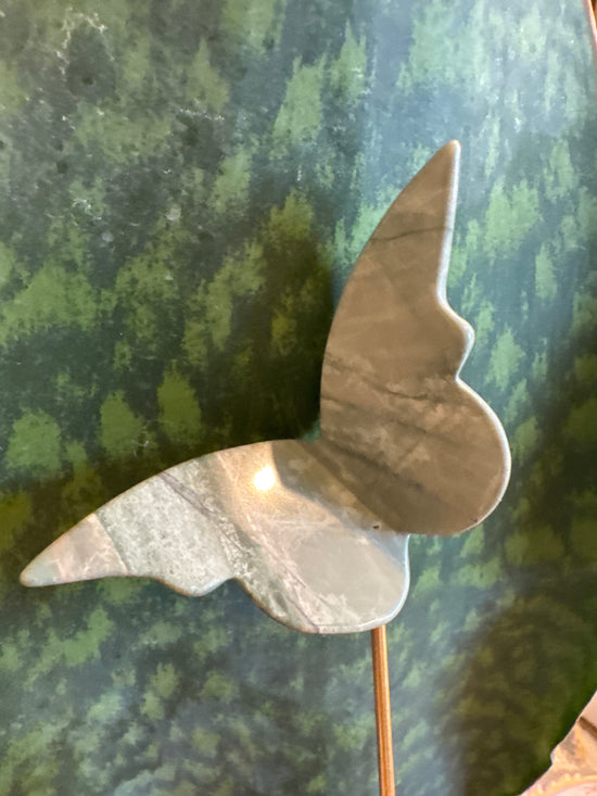 Brenda Butterfly