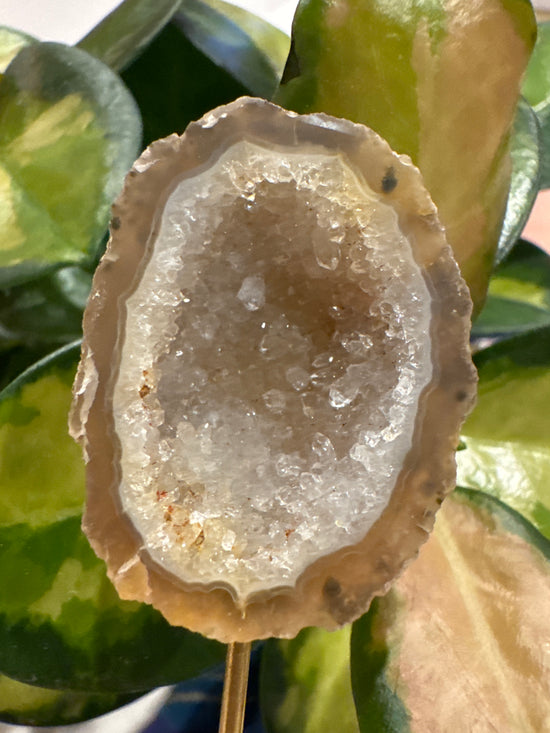 4/11 Mini Agate geode