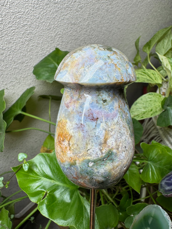 Free Ocean Jasper Mushroom