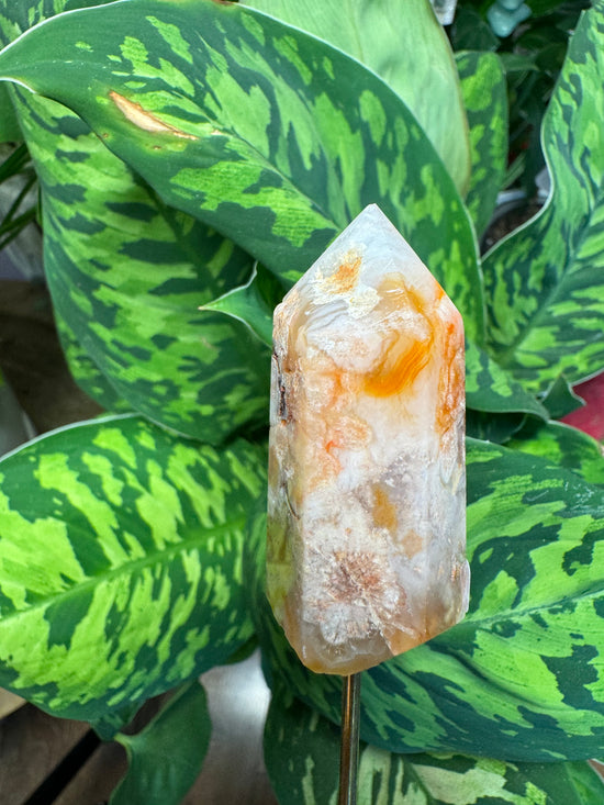 5/30 Orange Flower Agate