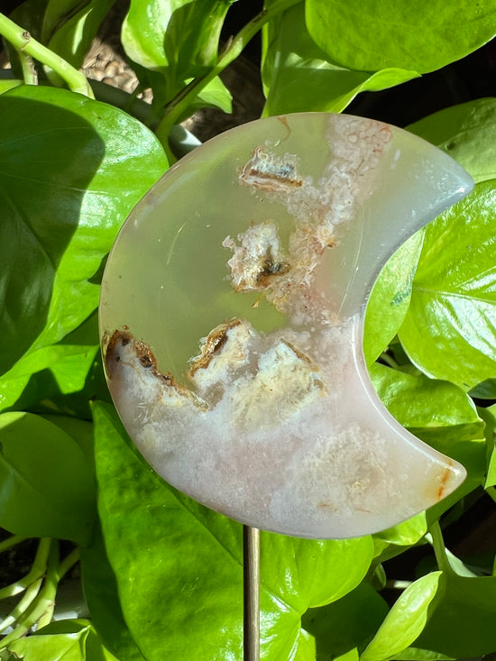 It’s your Mauve Flower Agate Plant Crystal