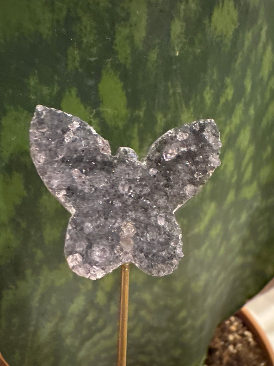 3/30 Amethyst Butterfly