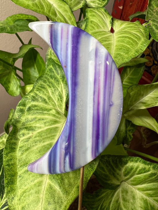 9/28 Purple Agate Moon Plant Crystal