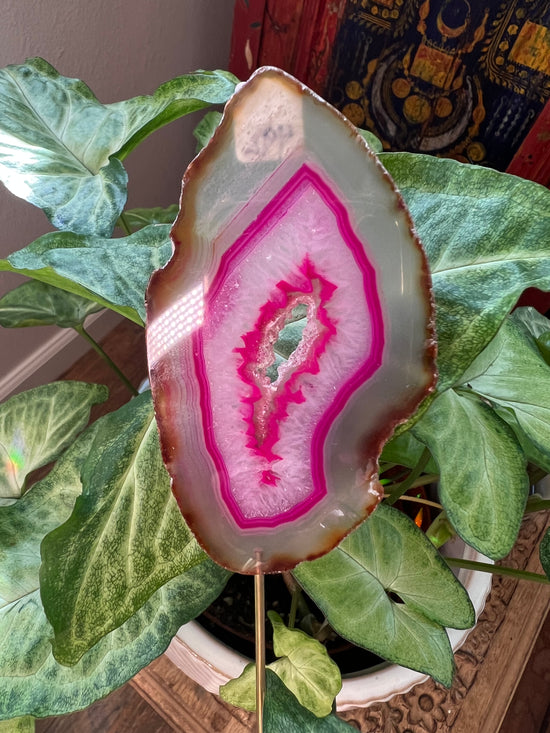 9/3 Pink Agate Plant Crystal