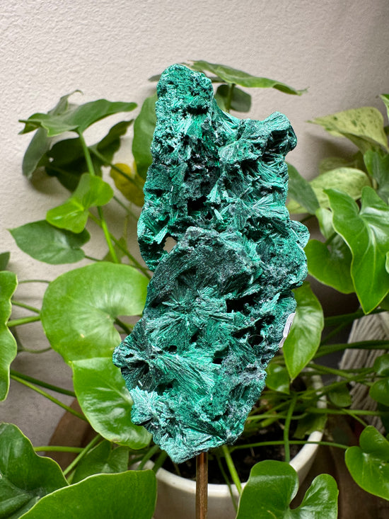 4/21 Malachite