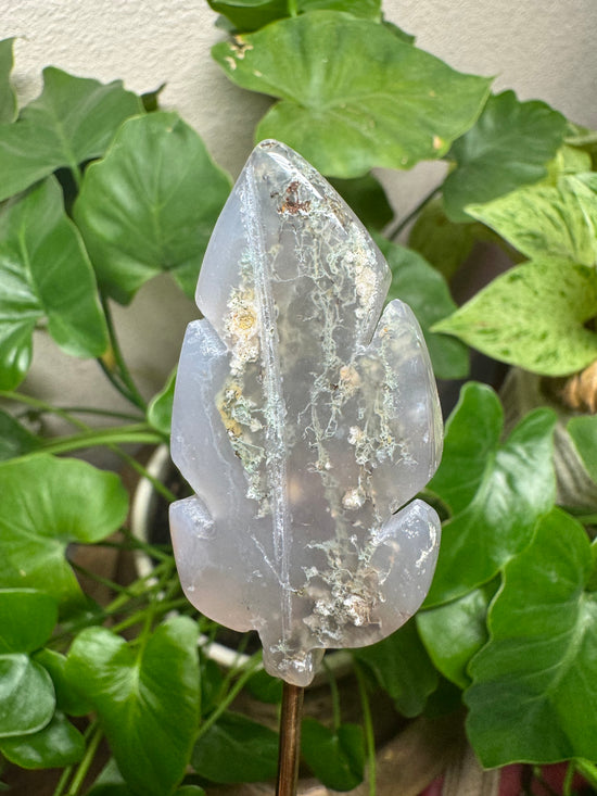 5/23 Moss Agate Leaf