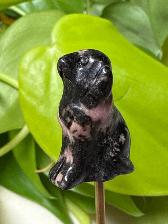 Ronnie Rhodonite Dog Mini