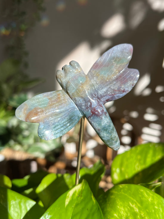 Prism the Ocean Jasper Dragonfly Plant Crystal