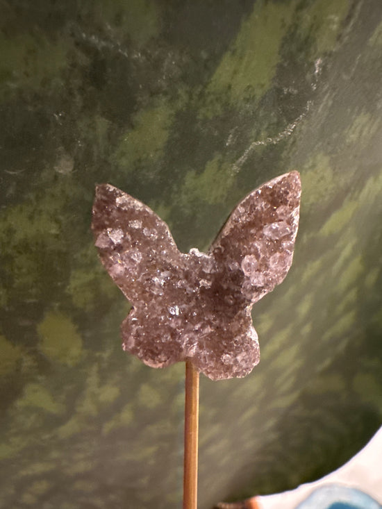 3/23 Mini Butterfly