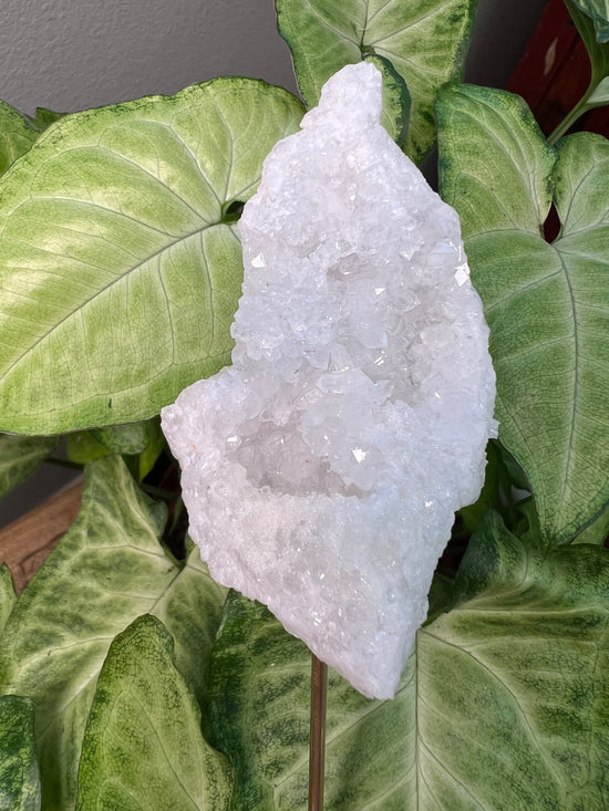 8/23 Moroccan Geode Plant Crystal