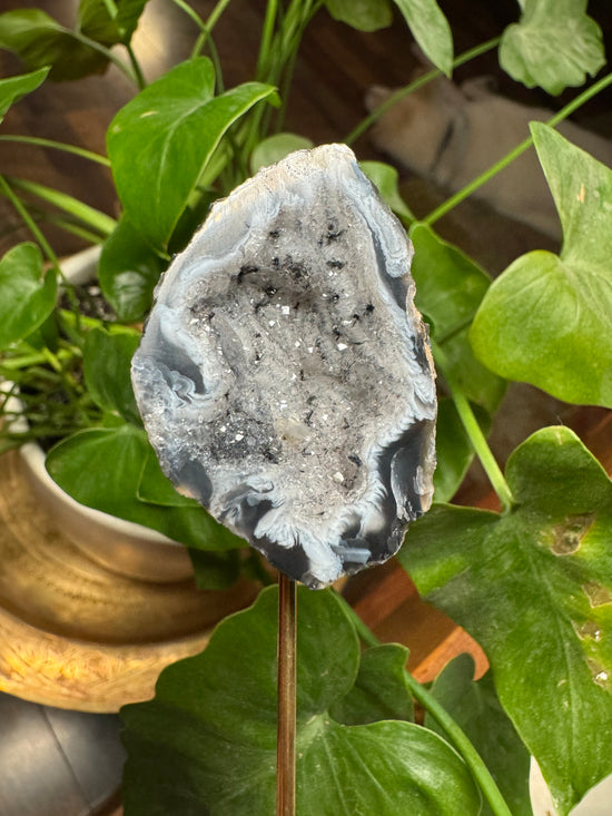 8/29 Mini Agate Geode