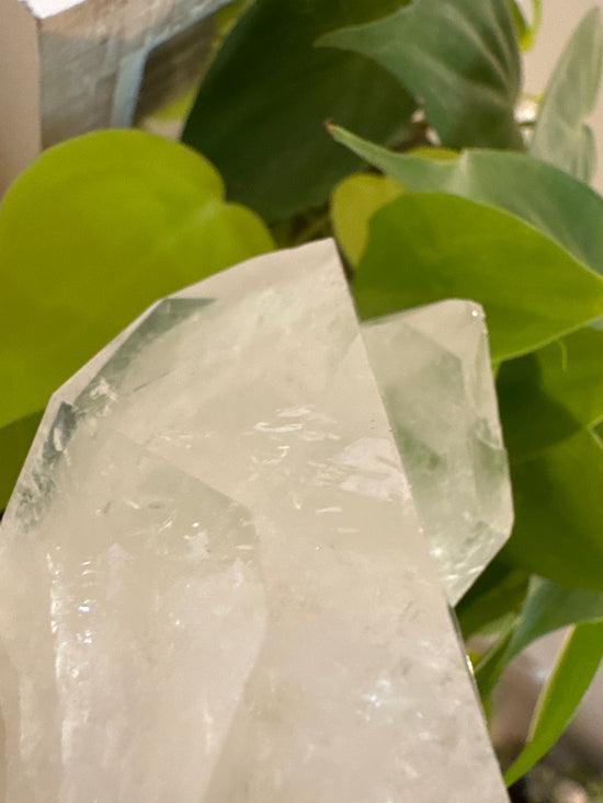 4/27 Danielle Quartz