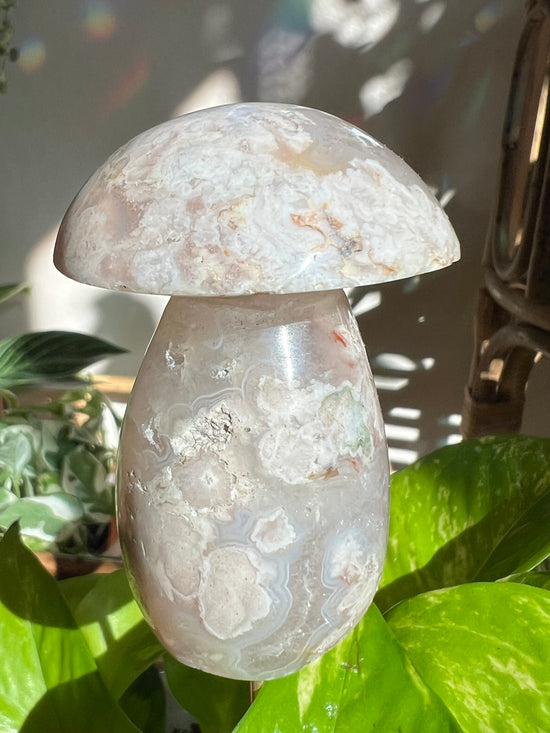 Flower Agate Mushroom Plant Crystal