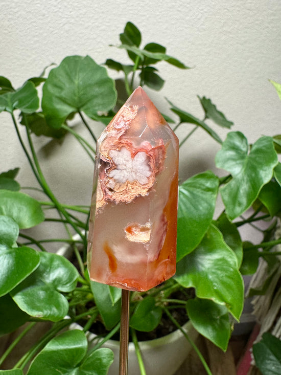 6/9 Orange Flower Agate