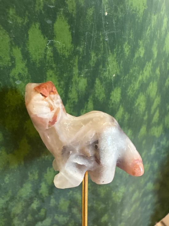 5/9 Dinosaur