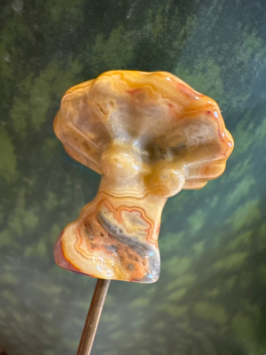 Mel Mini Mex Mushy Goddess