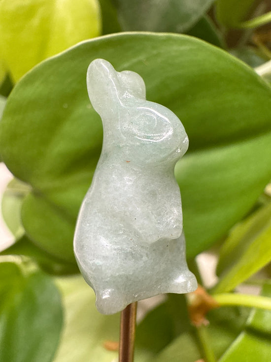Sky Amazonite Mini Bunny
