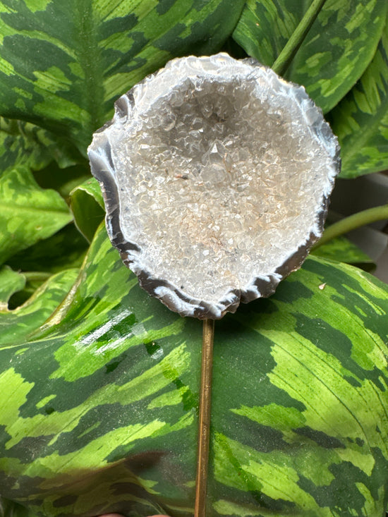 8/16 Mini Geode