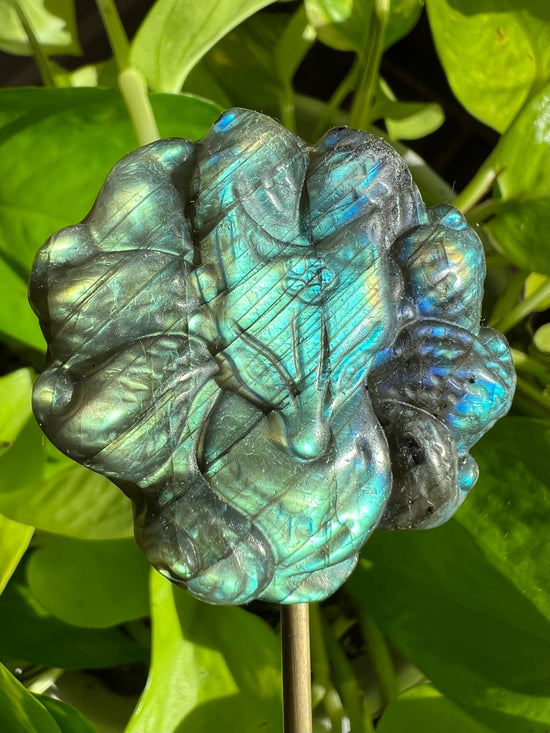 Vivid the Fox Labradorite Plant Crystal