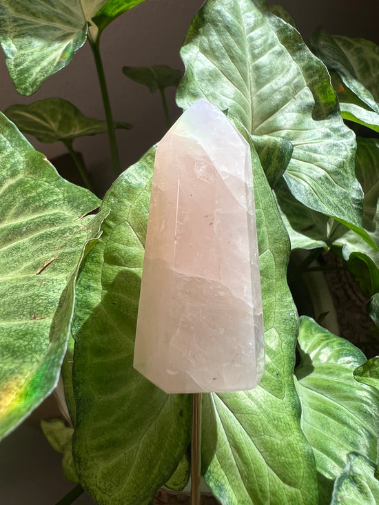 9/3 Rose Quartz Tower Plant Crystal