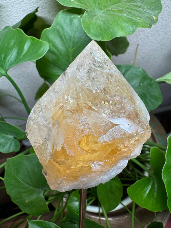 Large Citrine with rainbows and Extender Stem included