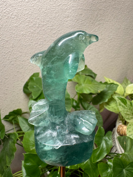 Fluorite Dolphin