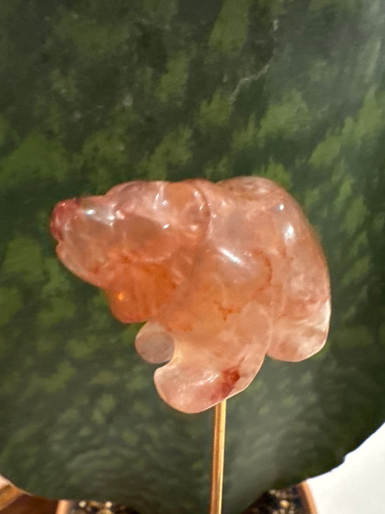 3/23 Bear