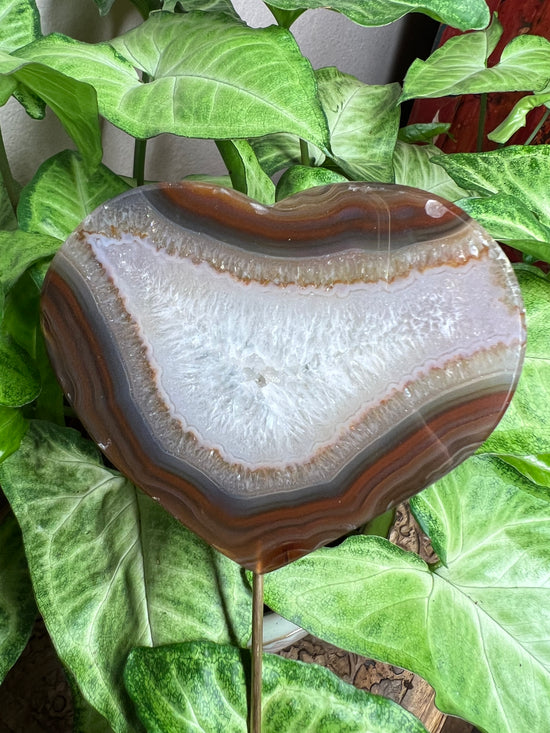 8/27 Heart Agate Plant Crystal