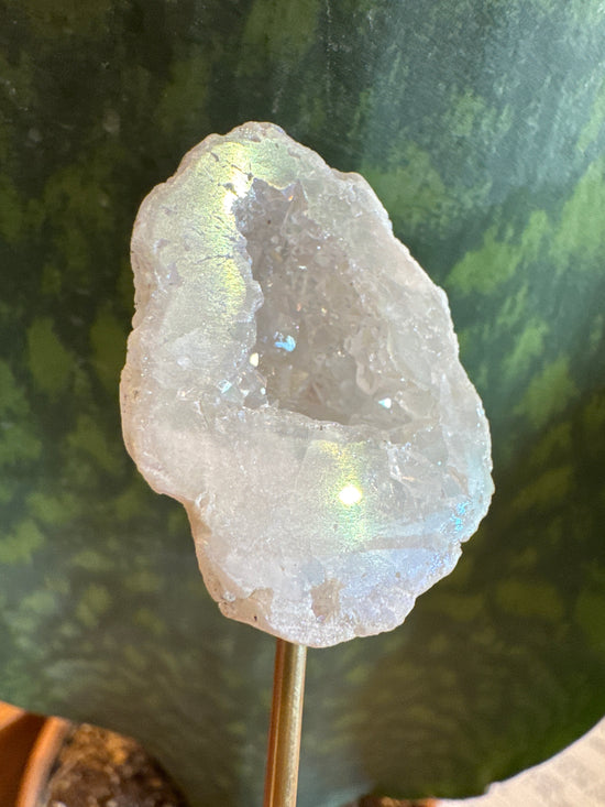 4/25 Mini Aura