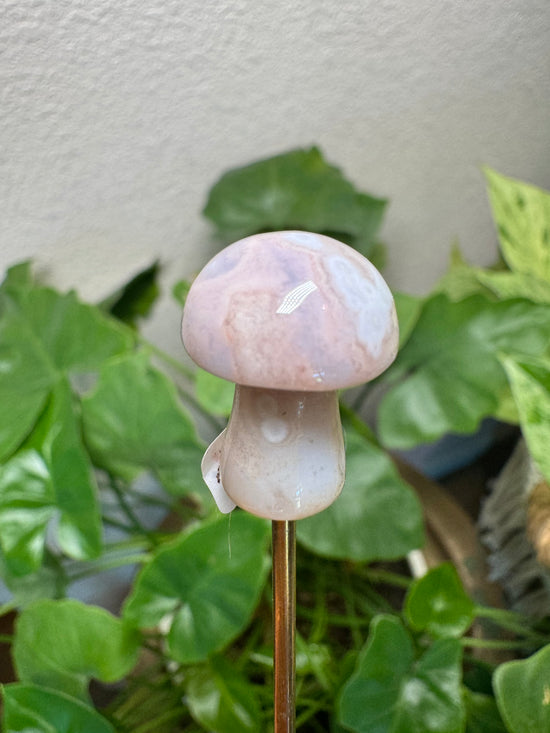 5/16 Mini Flower Agate Mushroom