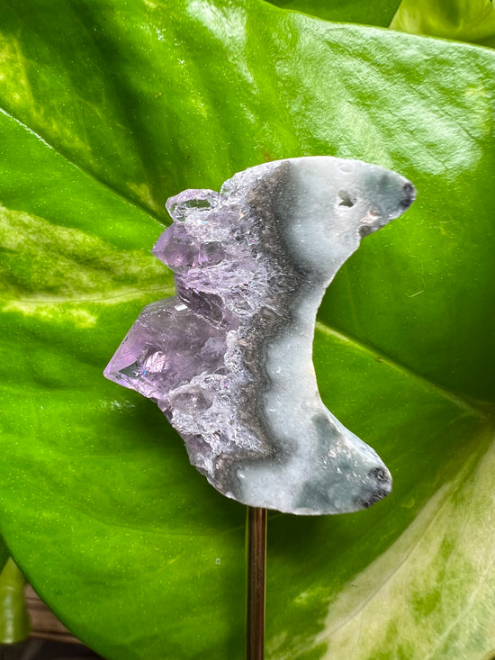 Mini Pink Amethyst Moon Plant Crystal