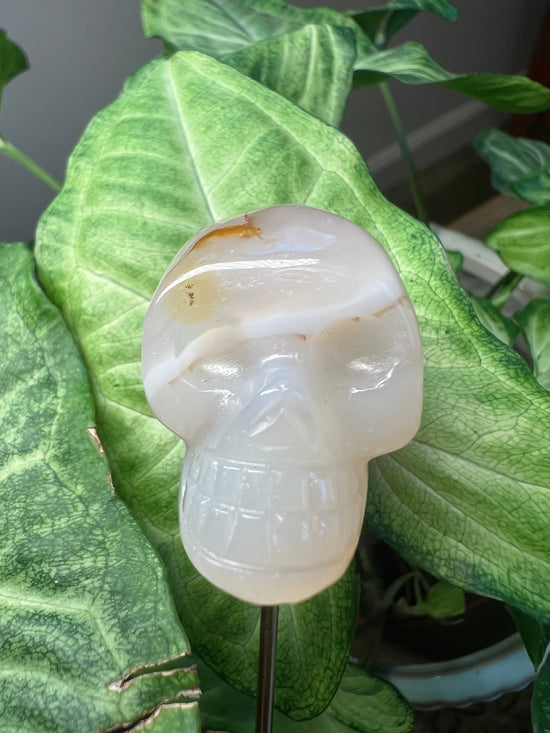 9/17 Agate Skull Plant Crystal