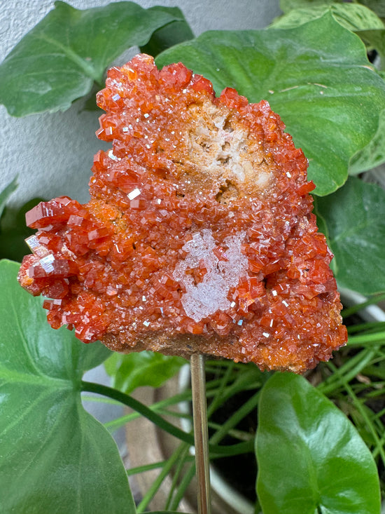 4/14 Vanadinite