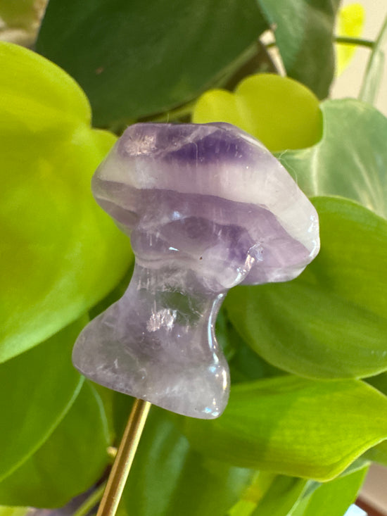 4/27 Karen Mini Amethyst Mushroom Goddess