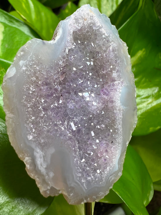 Amethyst Agate Geode Plant Crystal