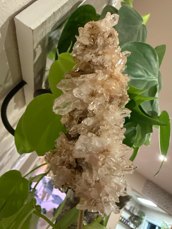 MG Premium Pink Lemurian
