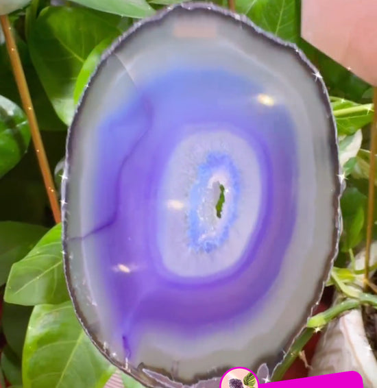 9/13 Purple Agate