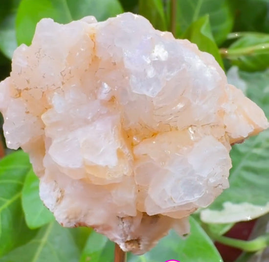 9/13 Apophylite