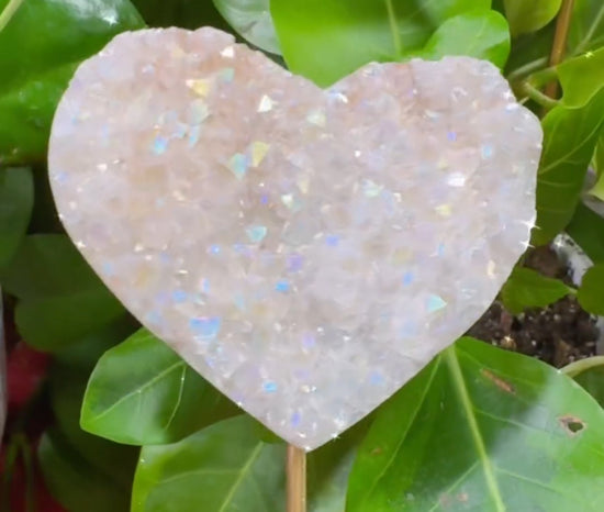 Angel Aura XL Heart