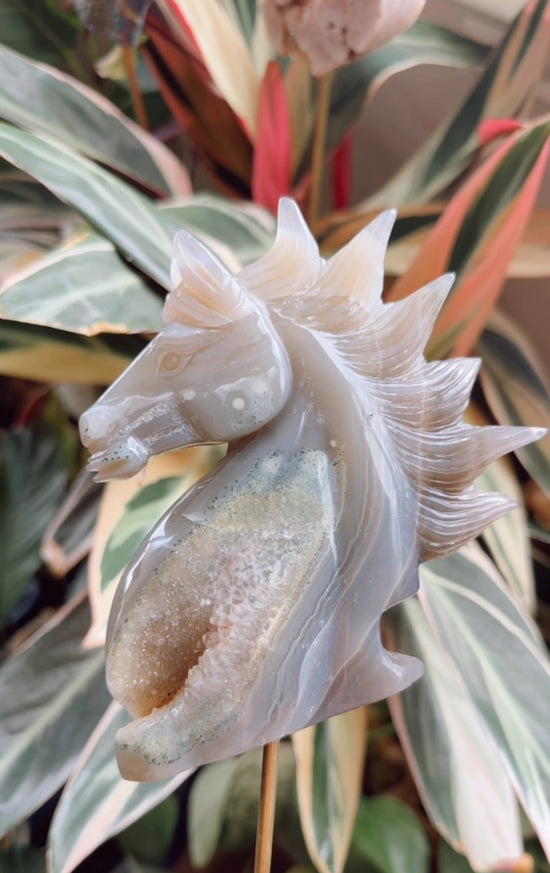‘Brave’ Year of the Horse - Agate