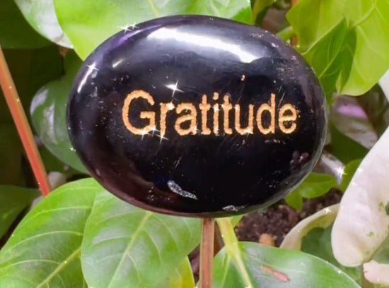 9/13 Gratitude